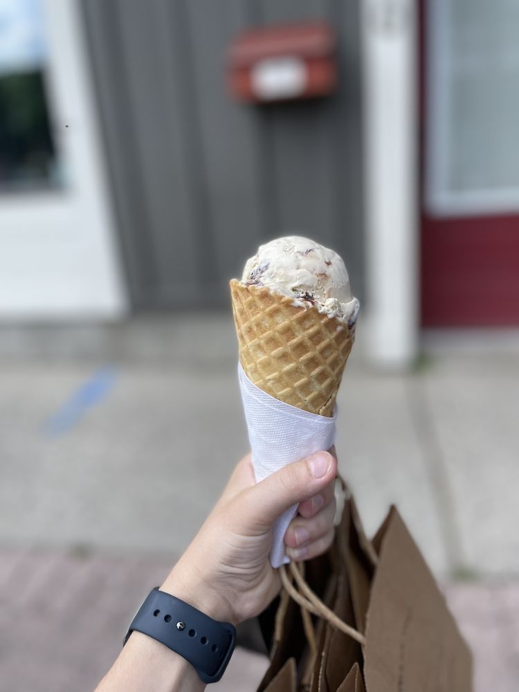 What's the Scoop Logo