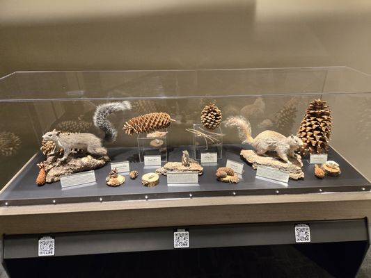 Palm Springs Aerial Tramway by null Palm Springs Aerial Tramway by null