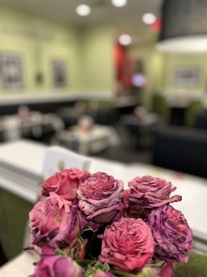 Chicken Salad Chick by null