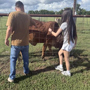 Buckin Burger - Family - Burgers Near Me - Brenham, Texas