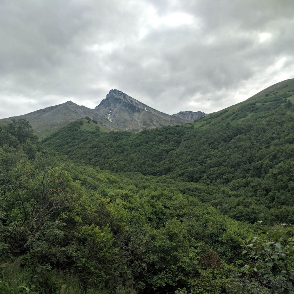 Matanuska Peak Trail - Hiking Near Me - Palmer, Alaska Matanuska Peak Trail - Hiking Near Me - Palmer, Alaska