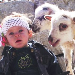 Doe's and Diva's of Honey Creek - Happy visitor to the farmstead meeting the lambs
