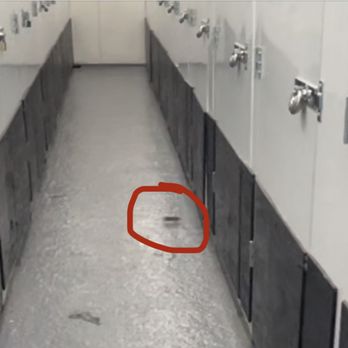 Manhattan Mini Storage - same mouse just in case you wanted to know if he made it :) - Self Storage Near Me - New York, New York Manhattan Mini Storage - same mouse just in case you wanted to know if he made it :) - Self Storage Near Me - New York, New York