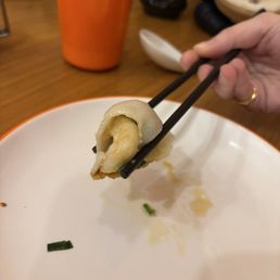 Fried Three Fresh Meat Dumplings
