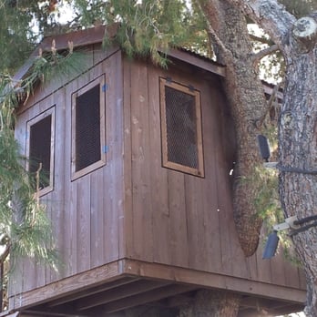 Arizona Home Works - a tree house built on a tree - General Contractors Near Me - Mesa, Arizona Arizona Home Works - a tree house built on a tree - General Contractors Near Me - Mesa, Arizona