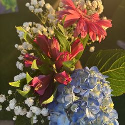 Publix - My bouquet of Flowers