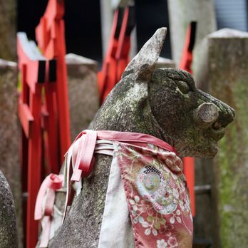 Overseas Adventure Travel - Fushimi Inari Shrine in Kyoto - Tours Near Me - Boston, Massachusetts Overseas Adventure Travel - Fushimi Inari Shrine in Kyoto - Tours Near Me - Boston, Massachusetts
