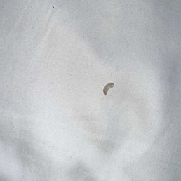 The fingernail found. The fingernail found.