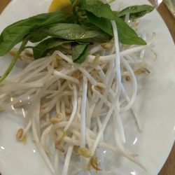 Pho Hoa Vietnamese Noodle House