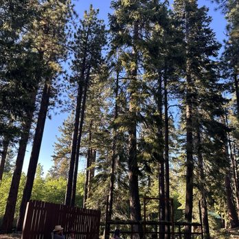 Camp Concord - Our backyard of our cabins - Campgrounds Near Me - South Lake Tahoe, California Camp Concord - Our backyard of our cabins - Campgrounds Near Me - South Lake Tahoe, California