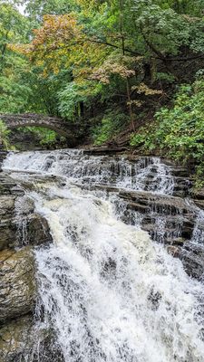 Cascadilla Gorge Trail by null