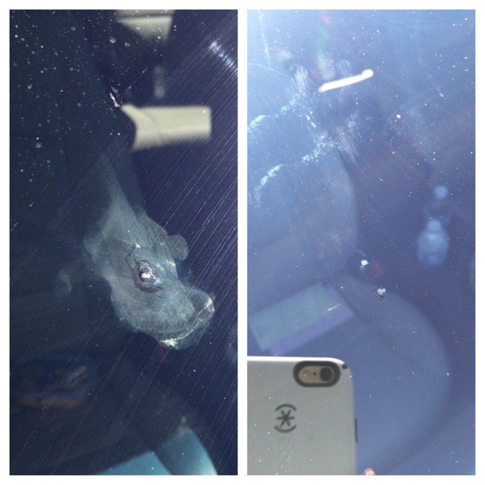 Ignore the fingerprints. Here is a before & after shot of my windshield. 2 cracks, 1 rock :( Ignore the fingerprints. Here is a before & after shot of my windshield. 2 cracks, 1 rock :(