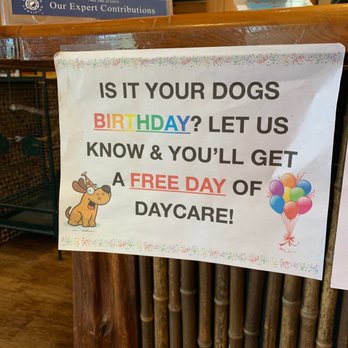 Paradise Pet Resorts - Good to know!!!!! - Pet Groomers Near Me - Santa Rosa, California Paradise Pet Resorts - Good to know!!!!! - Pet Groomers Near Me - Santa Rosa, California