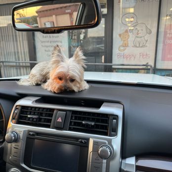 Bhappy Pets - Pet Groomers Near Me - Pomona, California
