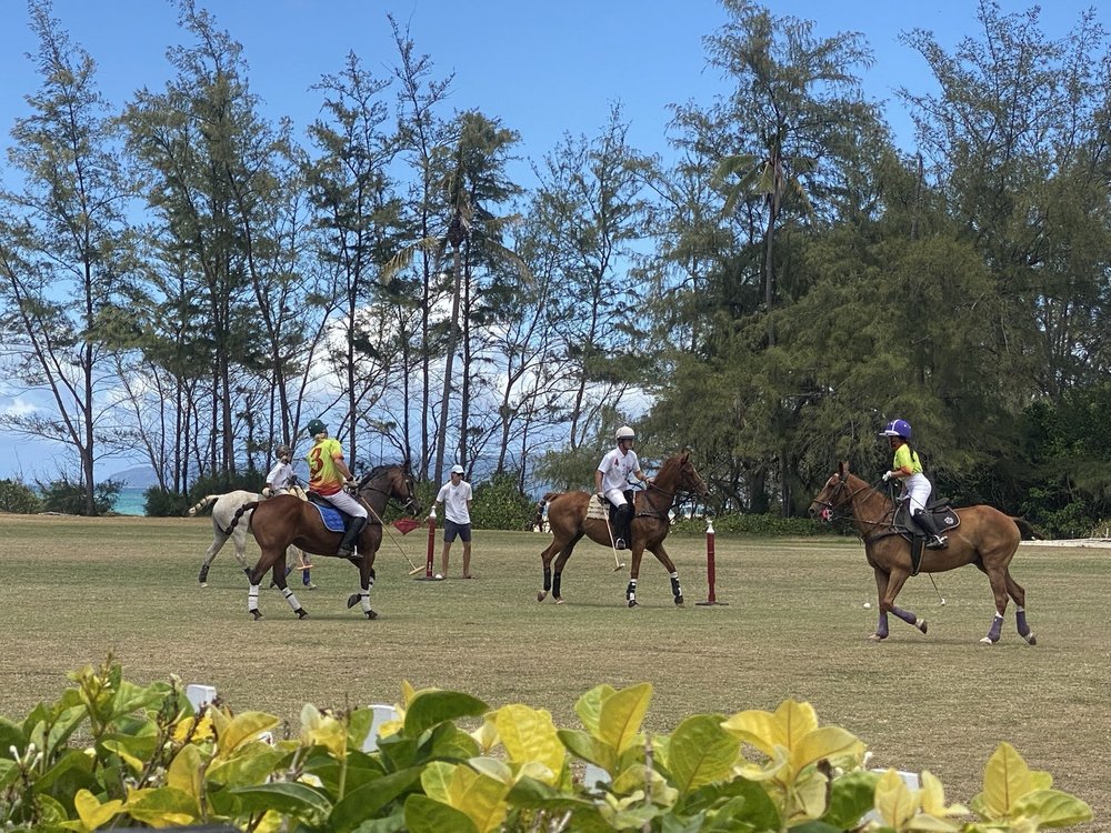 Honolulu Polo Club Logo
