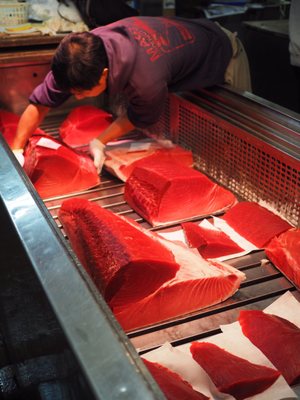 Tsukiji Outer Market by null