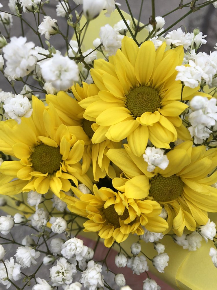 Kidzpointe Academy - childcare center in Fishers, IN