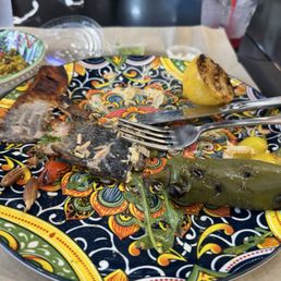 Empty salmon plate Empty salmon plate