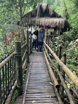 Tam-awan Village by null