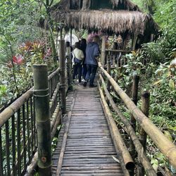 Tam-Awan Village - Hold on to the bamboo handrails as you navigate through. On days like ours where the grounds were wet, slip and falls are common.