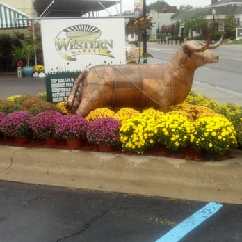 Western Market - Fruits & Veggies Near Me - Ferndale, Michigan Western Market - Fruits & Veggies Near Me - Ferndale, Michigan