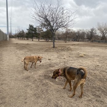 Tom Bolack - Thursday 3pm - Dog Parks Near Me - Albuquerque, New Mexico Tom Bolack - Thursday 3pm - Dog Parks Near Me - Albuquerque, New Mexico
