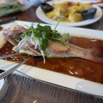 Top Choice Restaurant - Chinese Near Me - Markham, Ontario Top Choice Restaurant - Chinese Near Me - Markham, Ontario