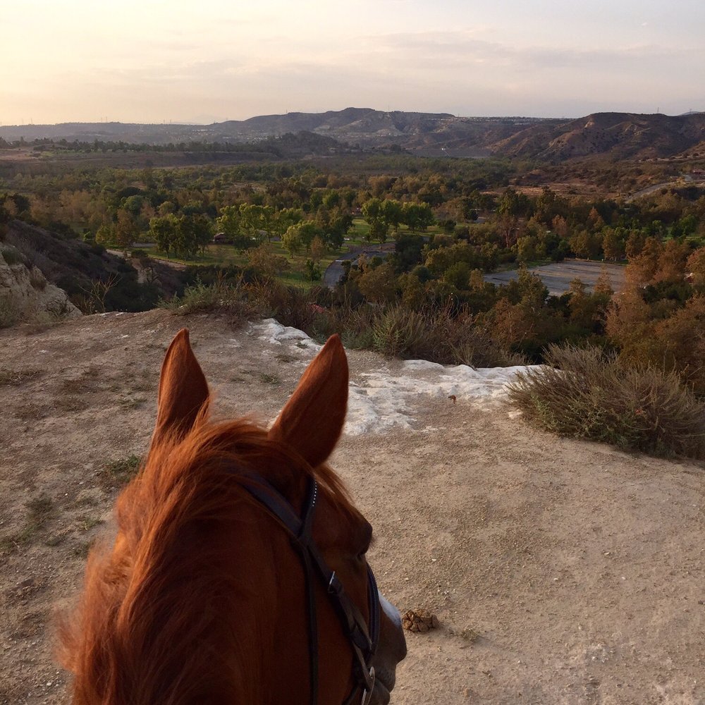 This trail is amazing!