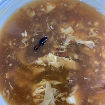 Wok One - There was a roach in my soup when i did a take out! - Chinese Near Me - Meadows Place, Texas Wok One - There was a roach in my soup when i did a take out! - Chinese Near Me - Meadows Place, Texas
