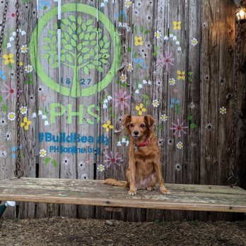 PHS Pop Up Garden - Dog friendly - Beer Gardens Near Me - Philadelphia, Pennsylvania PHS Pop Up Garden - Dog friendly - Beer Gardens Near Me - Philadelphia, Pennsylvania