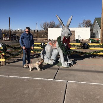 Jack Rabbit Trading Post - Jack Rabbit picture opportunity! A must! - Souvenir Shops Near Me - Joseph City, Arizona Jack Rabbit Trading Post - Jack Rabbit picture opportunity! A must! - Souvenir Shops Near Me - Joseph City, Arizona