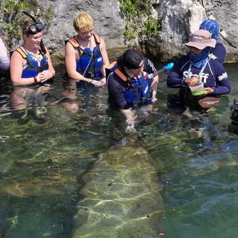 Xel-Há - Several people wearing lifejackets, one of whom is feeding a manatee - Amusement Parks Near Me - Tulum, ROO