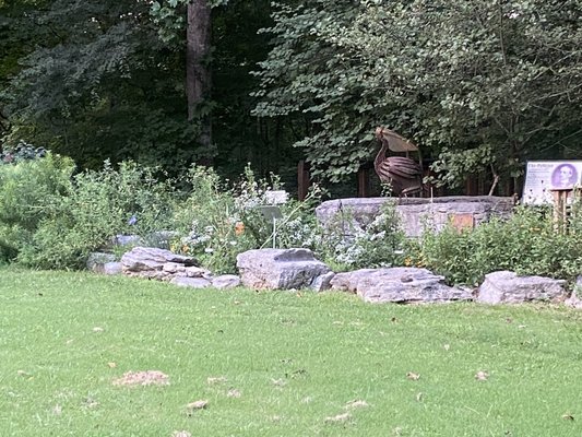 Cedars of Lebanon State Park by null