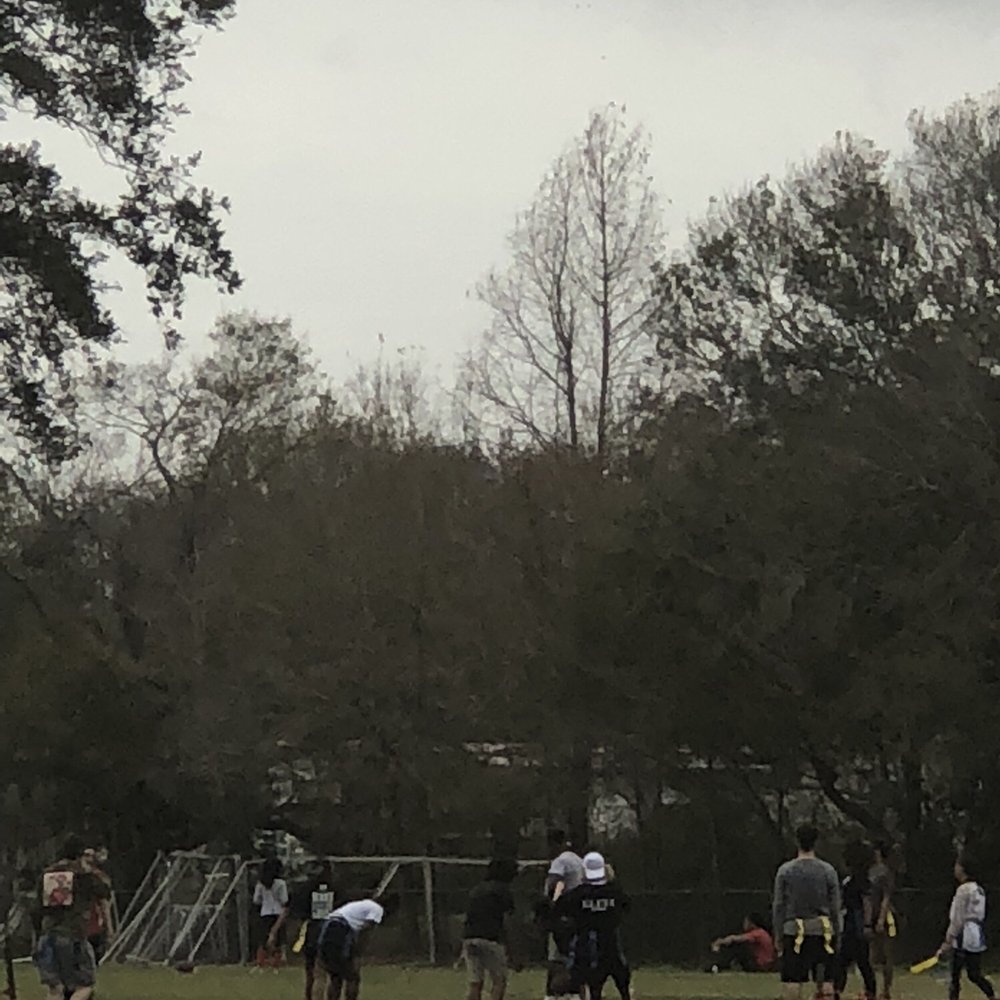 Blanchard Park - Parks Near Me - Orlando, Florida