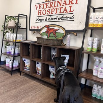 Bevis Veterinary Hospital - Waiting room - Veterinarians Near Me - Tallahassee, Florida Bevis Veterinary Hospital - Waiting room - Veterinarians Near Me - Tallahassee, Florida