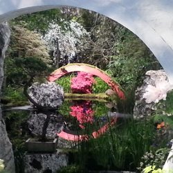 Tao & Zen Acupuncture
