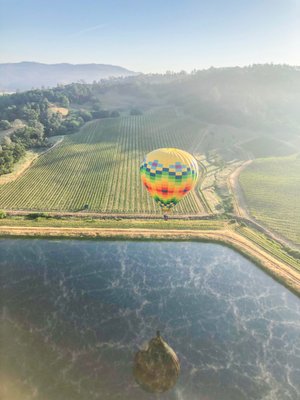 Napa Valley Aloft Hot Air Balloon Rides by null