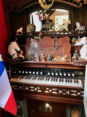 Le Moque-Tortue by null