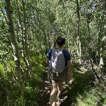 Parker Lake Trail - Hiking Near Me - June Lake, California