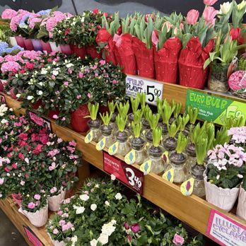 Trader Joe's - Grocery Near Me - Los Angeles, California