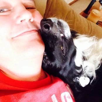 Willow Run Feed & Supply - Switch the lap BC. - Pet Stores Near Me - Broomfield, Colorado Willow Run Feed & Supply - Switch the lap BC. - Pet Stores Near Me - Broomfield, Colorado