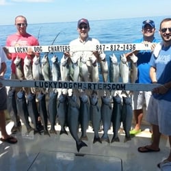 Lucky Dog Charters - Unbelievable day!