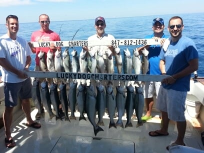 Lucky Dog Charters Logo