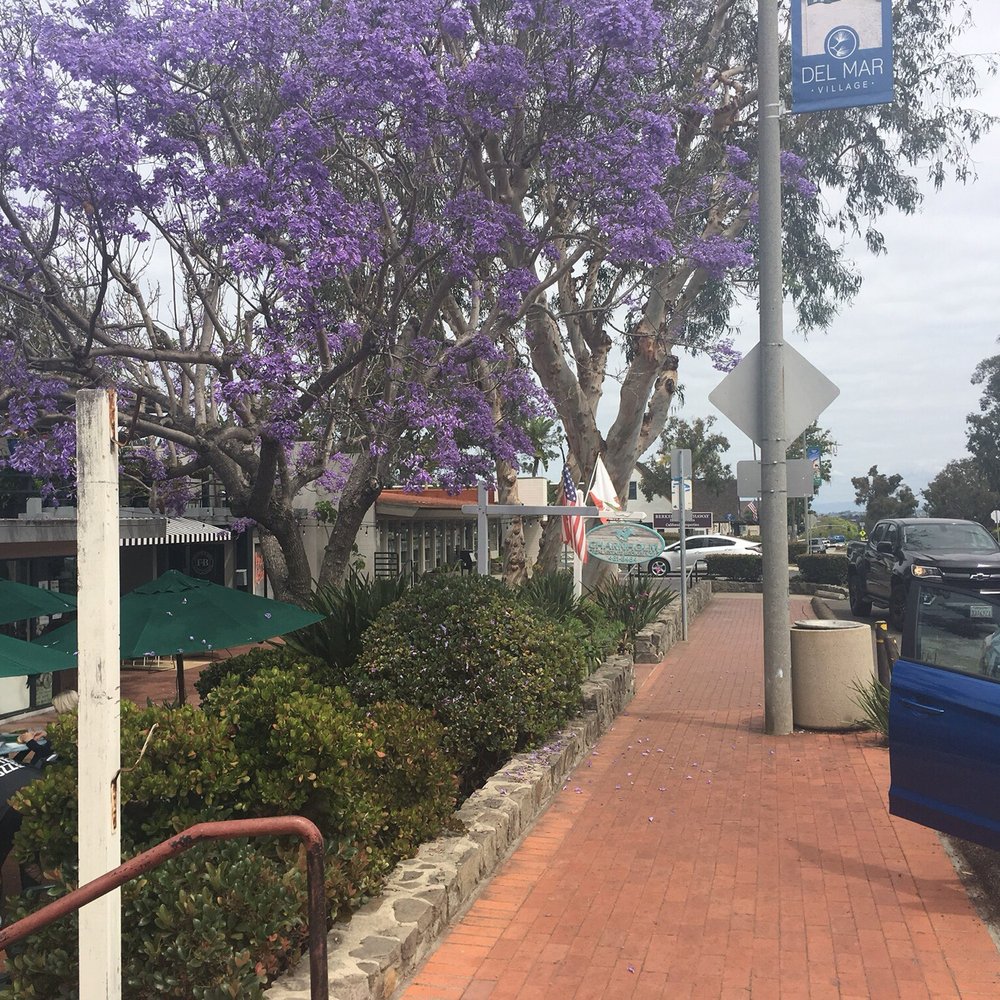 Charnholm & Associates - Front and Main Street to the office - Real Estate Services Near Me - Del Mar, California