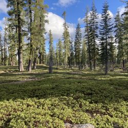 Cluster Lakes Loop Hike