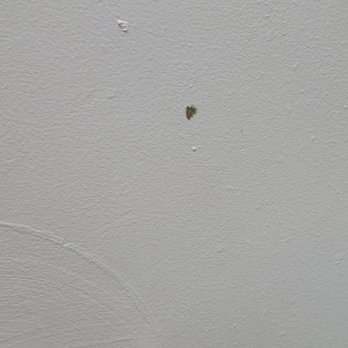 Motel 6 - Something on bathroom wall - Hotels Near Me - White, Georgia Motel 6 - Something on bathroom wall - Hotels Near Me - White, Georgia