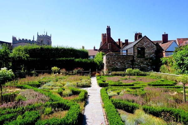 Shakespeare's New Place by null