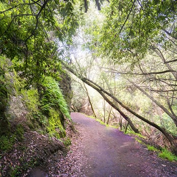 Greenbelt Trails - The best walk.... - Hiking Near Me