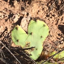 Essence of Sedona Massage & Wellness Center - Love is everywhere.