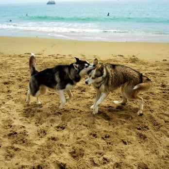Its Beach - Beaches Near Me - Santa Cruz, California Its Beach - Beaches Near Me - Santa Cruz, California